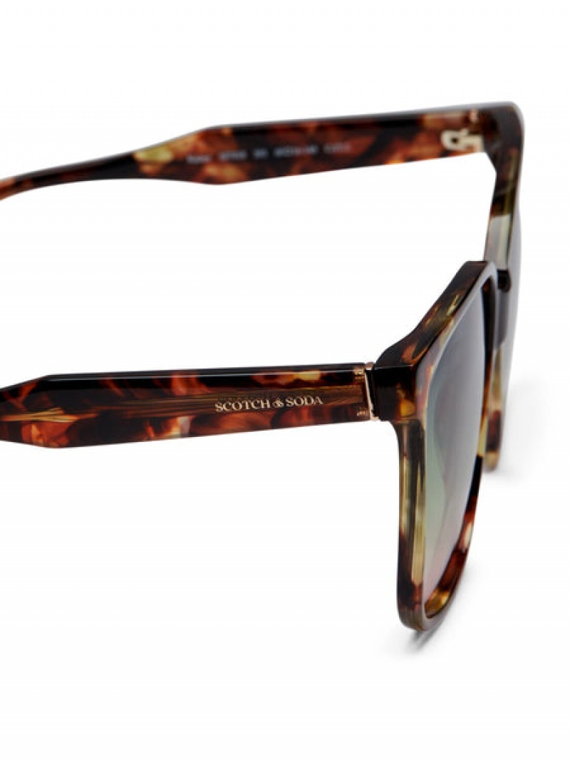 Scotch & Soda Kaiser Sonnenbrille Damen Braun | SN-SAS56900