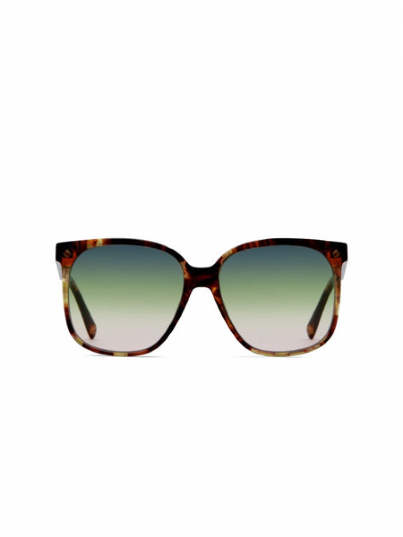 Scotch & Soda Kaiser Sonnenbrille Damen Braun | SN-SAS56900