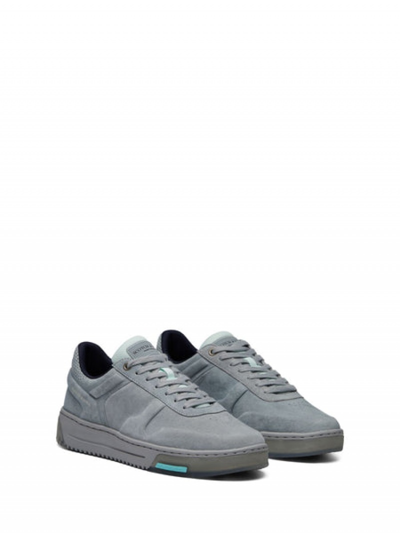 Scotch & Soda New Cup Sneakers Herren Grau | SN-SAS56690